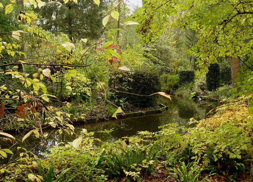 Arboretum des prés-des-culands, Meung-sur-Loire, France, France